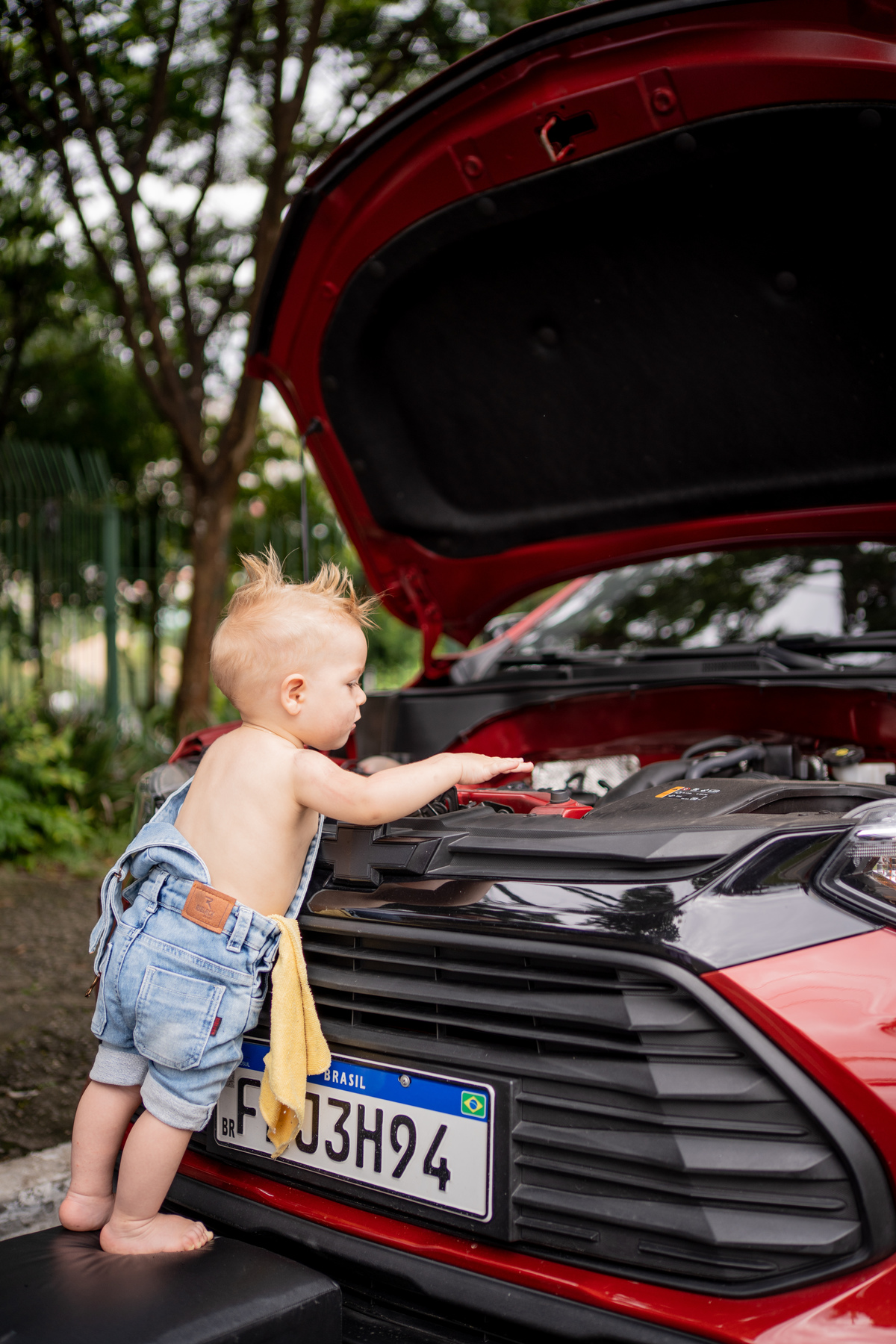 Ensaio da família do Francisco Bosque Maia - Guarulhos - SP