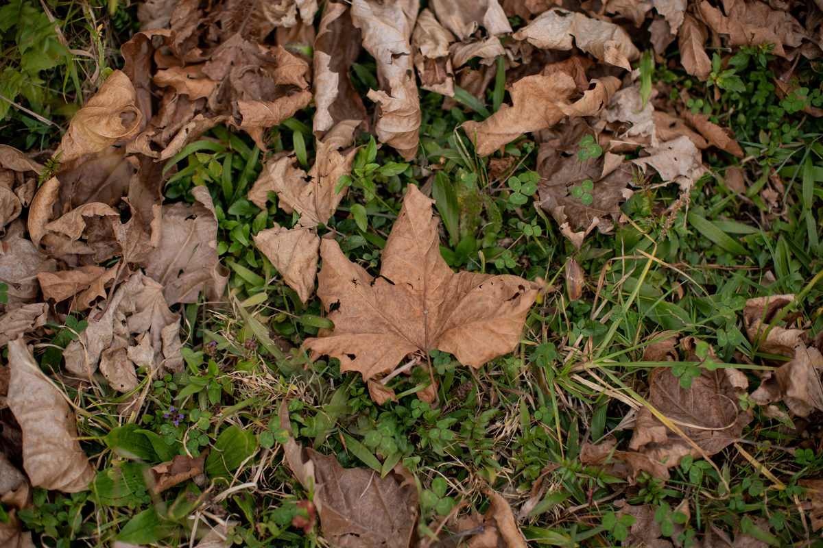 Ensaio pré wedding Camila e Gustavo Campos do Jordão - SP Davi MArtins