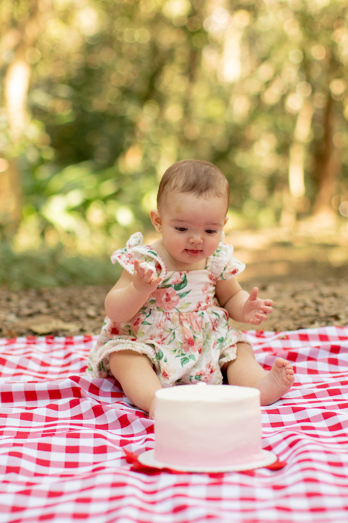 Smash the cake Bianca Bosque Maia - Guarulhos - SP