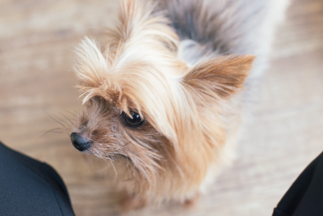 Aniversário 15 anos Forneria Capannone Guarulhos Lara Colégio Batista