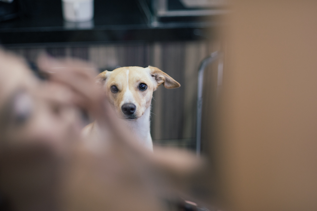 Aniversário 15 anos Forneria Capannone Guarulhos Lara Colégio Batista
