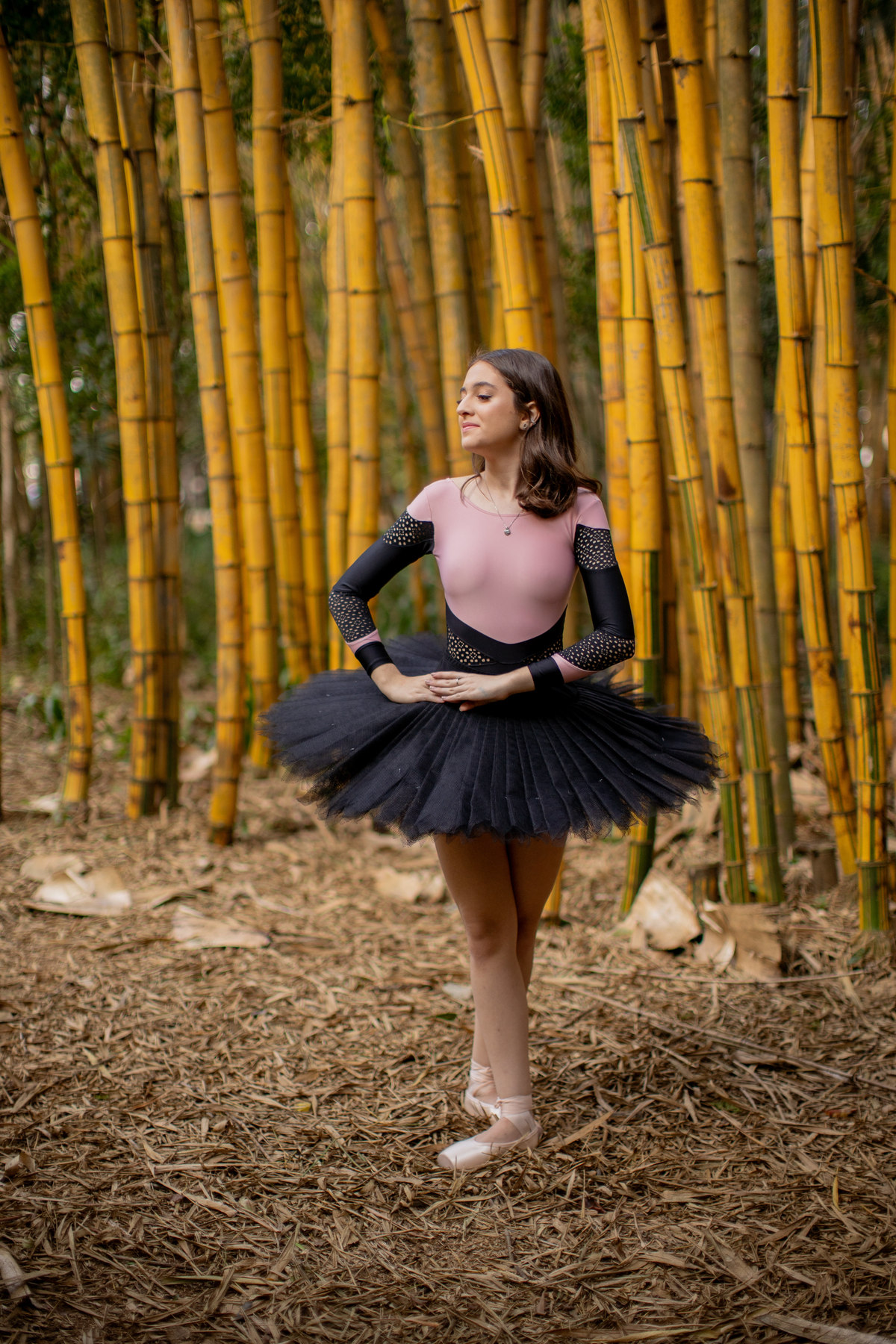 Ensaio 15 anos - Sthefany Museu Ipiranga - São Paulo - SP