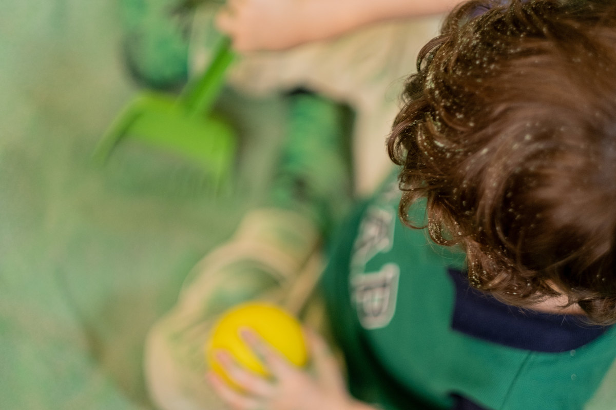 Aniversário Diego - 3 anos Buffet Formigueiro - São Paulo - SP