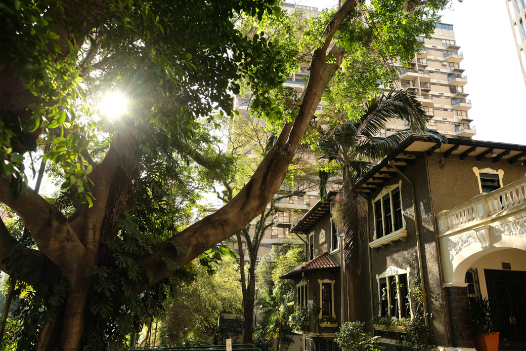 casamento wedding fotografia photo foto alana jamil igreja Presbiteriana Jardim das Oliveiras IPJO