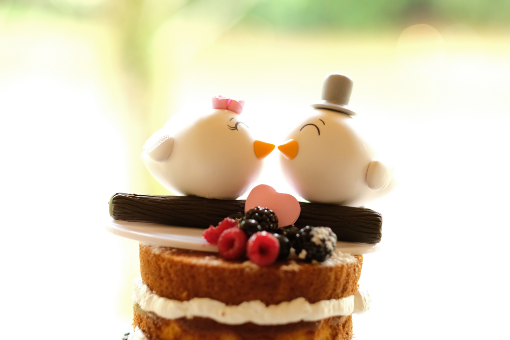 Casamento Thayna e Otavio Cantos das águas davi martins