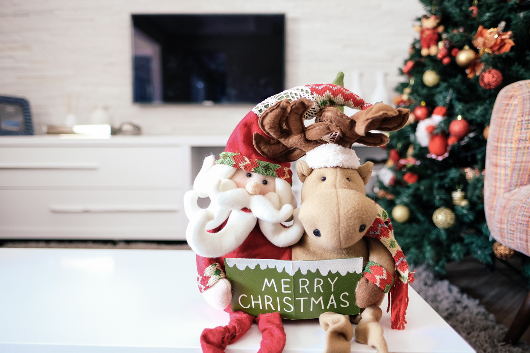 ensaio familia Emili Davi Cintia Izar Jadir