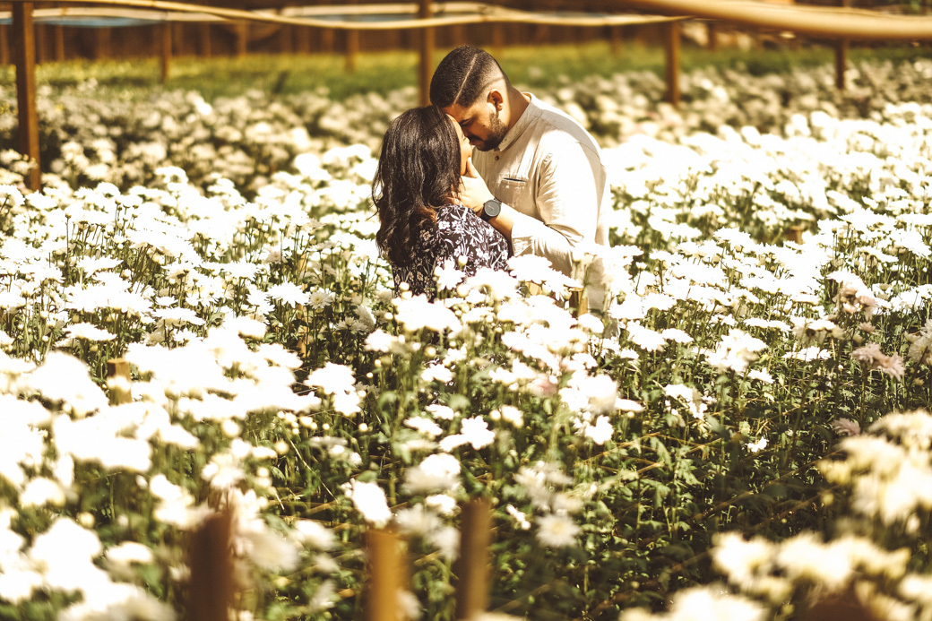 ensaio pré casamento heloisa guilherme holambra davi martins