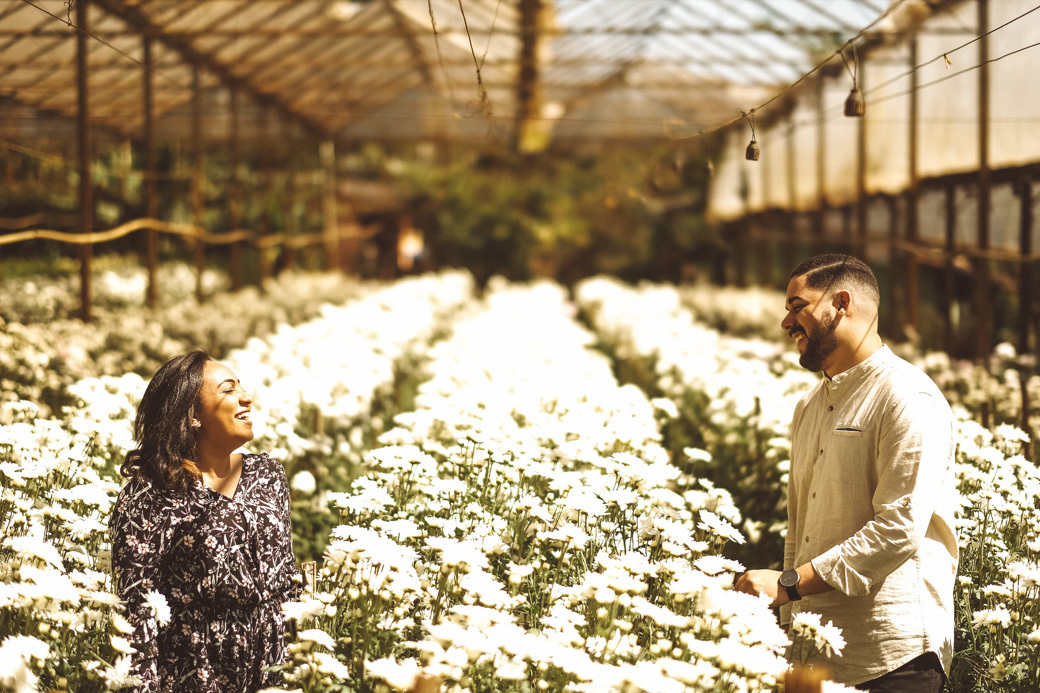 ensaio pré casamento heloisa guilherme holambra davi martins