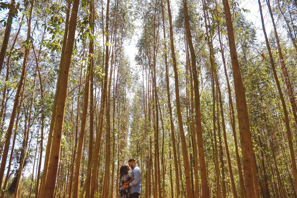 ensaio pré casamento heloisa guilherme holambra davi martins
