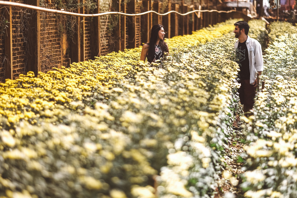 Ensaio pré casamento Carol e Daniel holambra fotografia davimartins