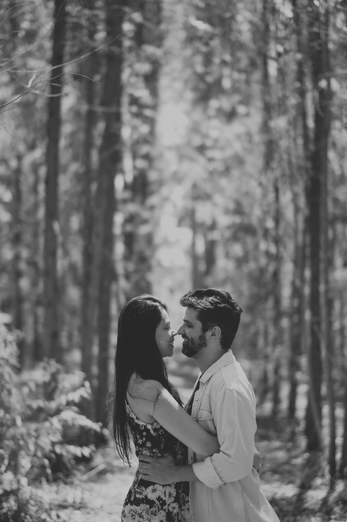 Ensaio pré casamento Carol e Daniel holambra fotografia davimartins