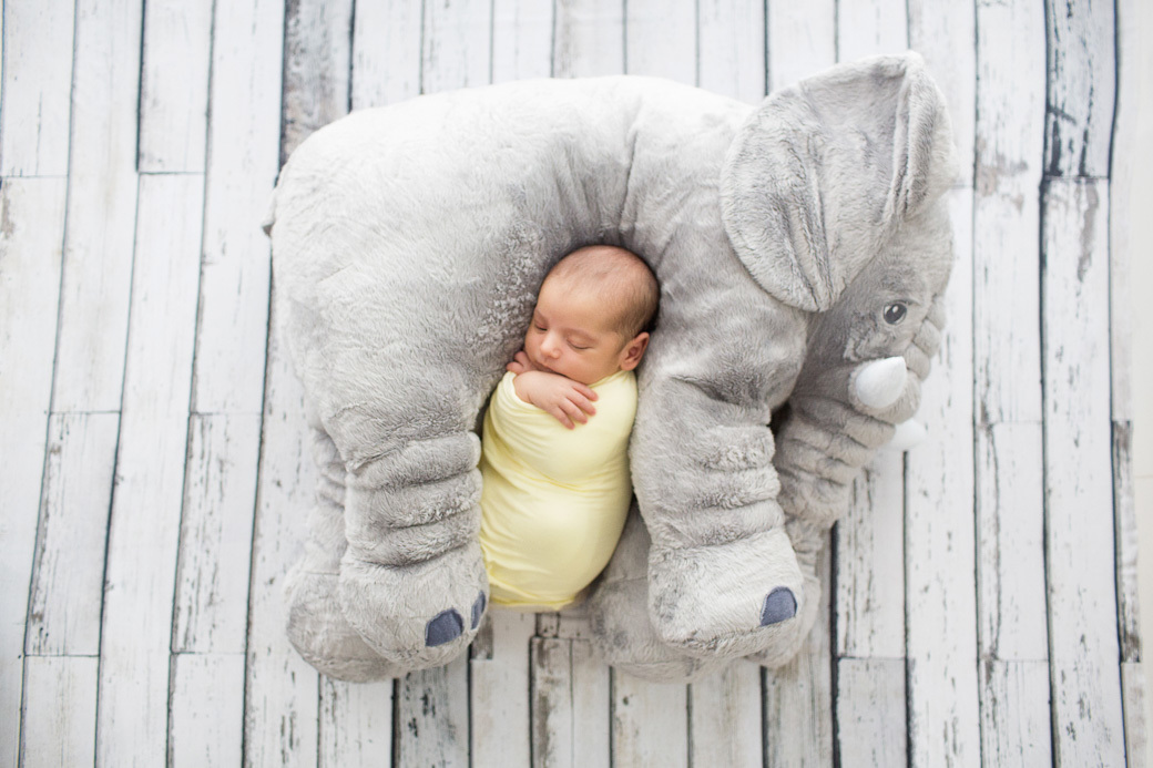 fotografia recem nascido newborn davi