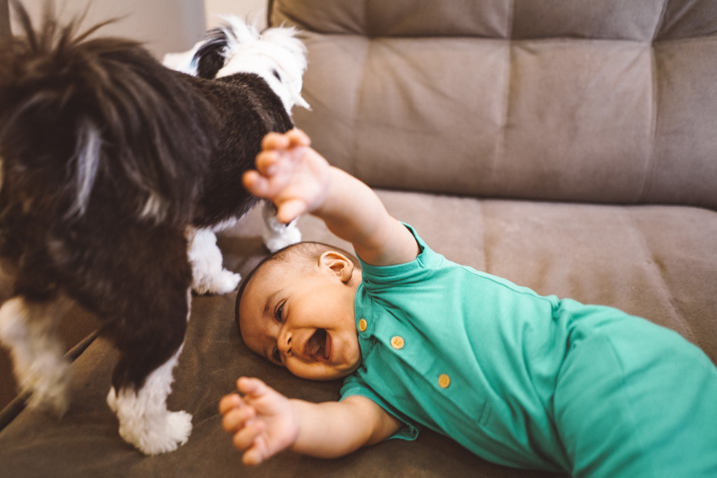 Ensaio 7 meses Matheus