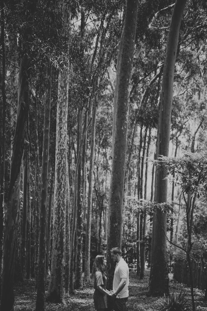 Ensaio pré casamento Aline e William