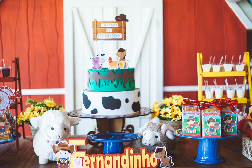 Aniversário 1 ano Fernandinho