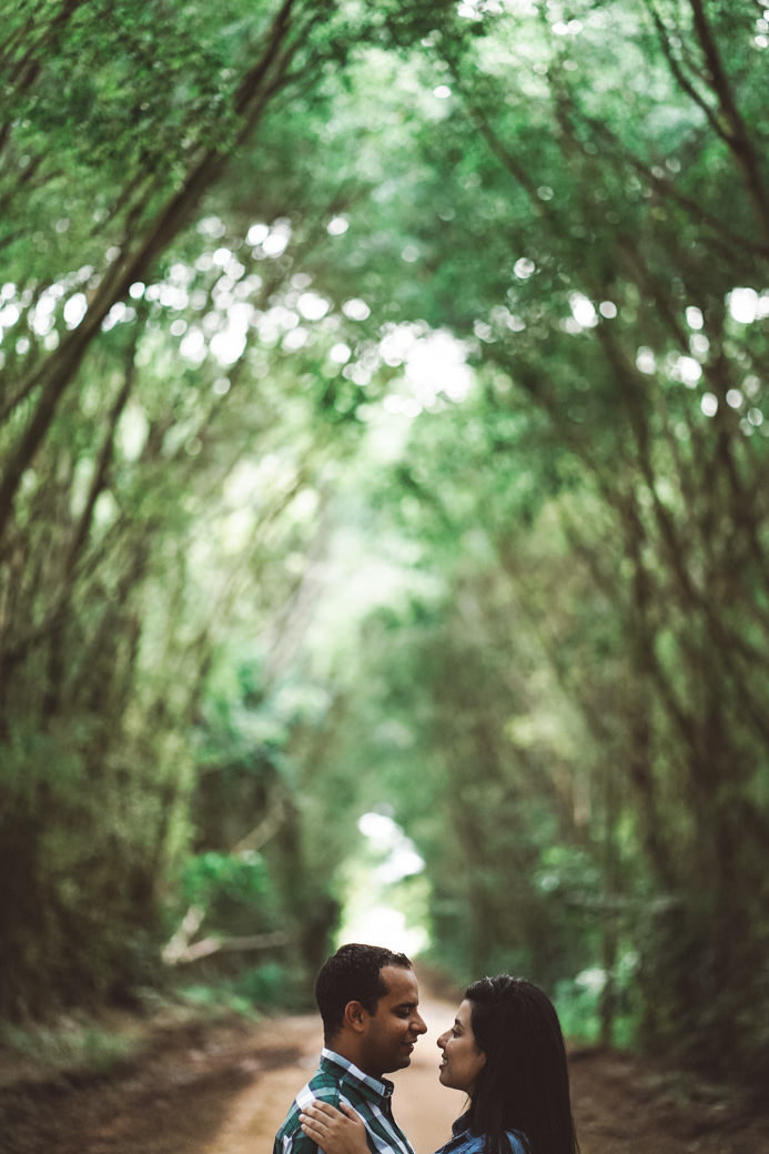 Ensaio pré casamento Karina Cesar Holambra