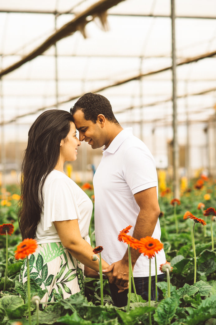 Ensaio pré casamento Karina Cesar Holambra