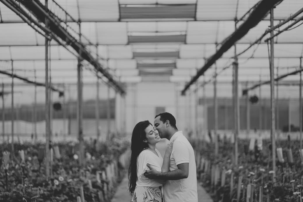 Ensaio pré casamento Karina Cesar Holambra