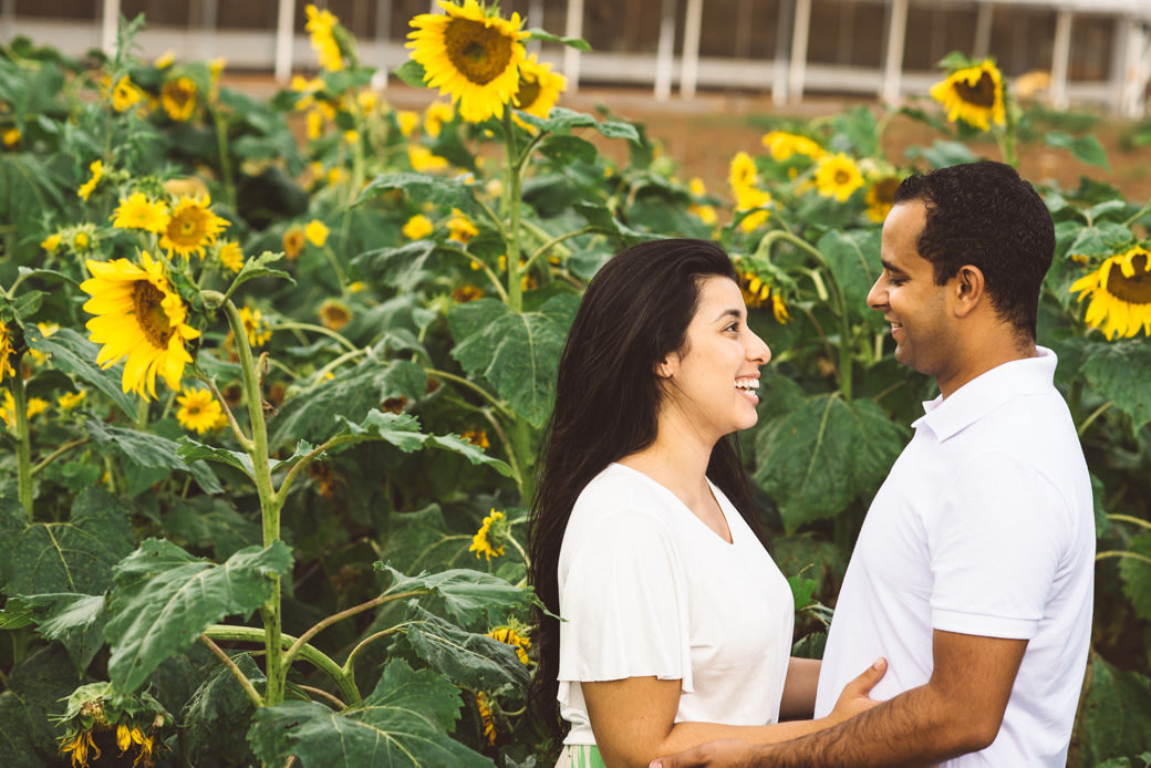 Ensaio pré casamento Karina Cesar Holambra