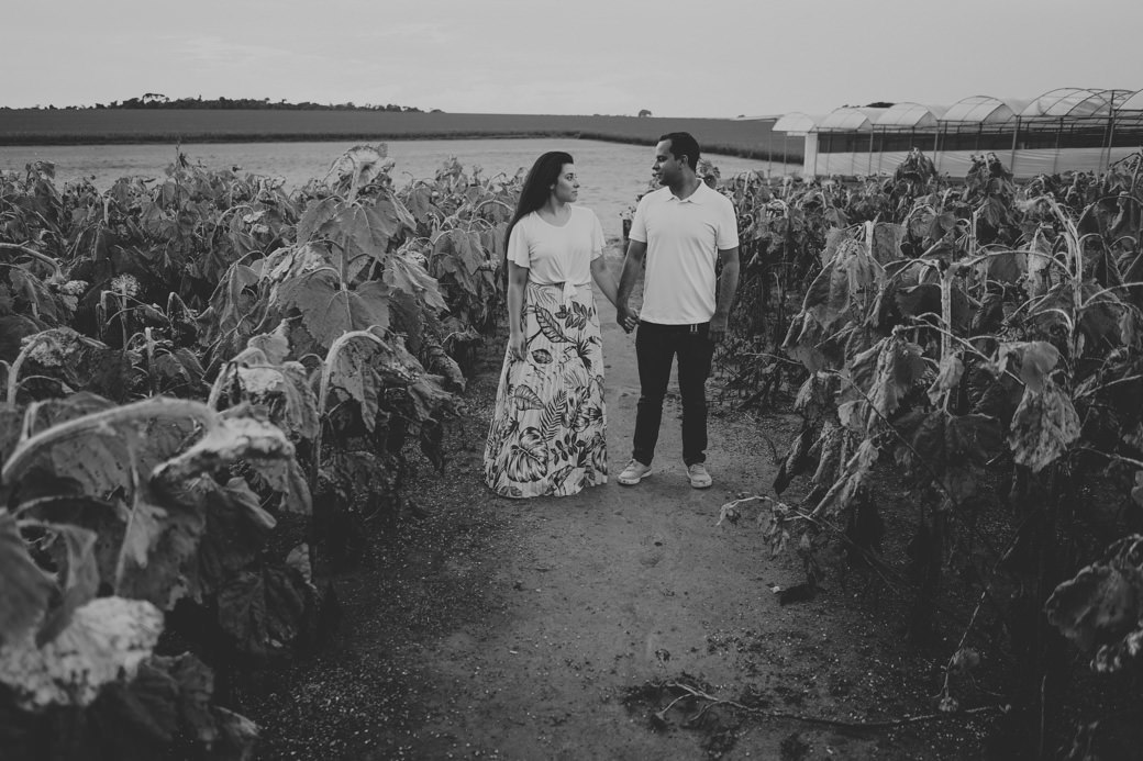 Ensaio pré casamento Karina Cesar Holambra