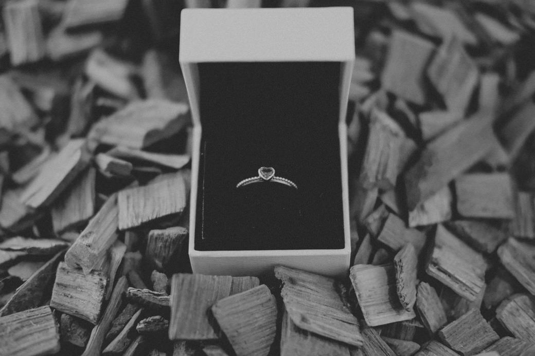 Casamento Denise Rafael