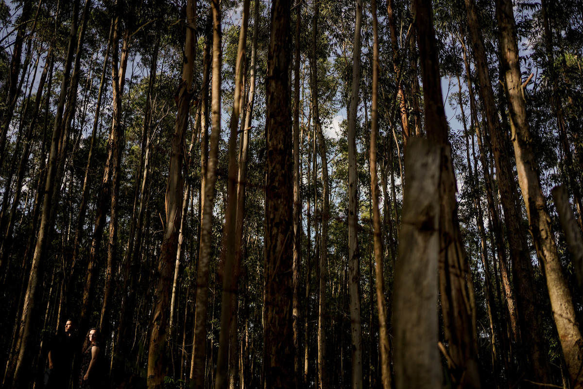 Ensaio pré wedding Luiz e Leticia Davi Martins