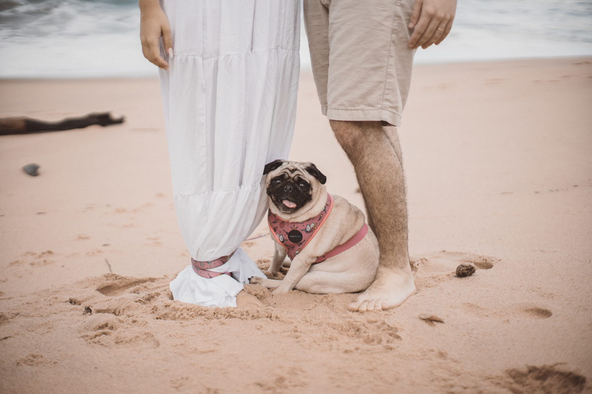 Ensaio pré wedding Rosi e Arthur praia são sebastião davi martins