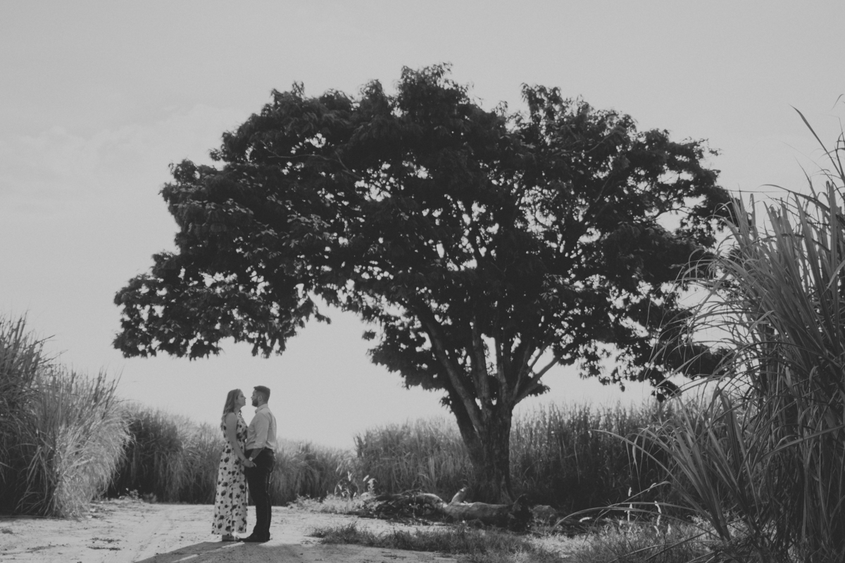 Ensaio pré wedding Allan Ellen Noi assessoria theo turismo agencia davimartins