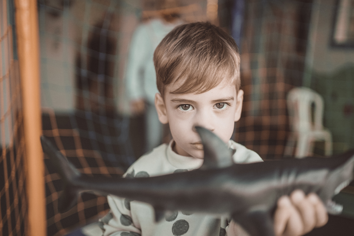 aniversário 3 anos Pedro Natany Rafael Davi martins davimartins tema tubarão