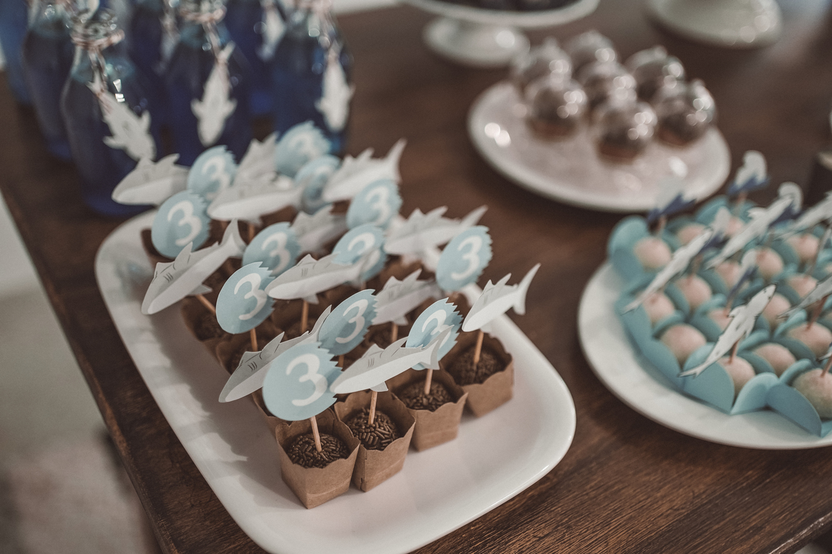 aniversário 3 anos Pedro Natany Rafael Davi martins davimartins tema tubarão