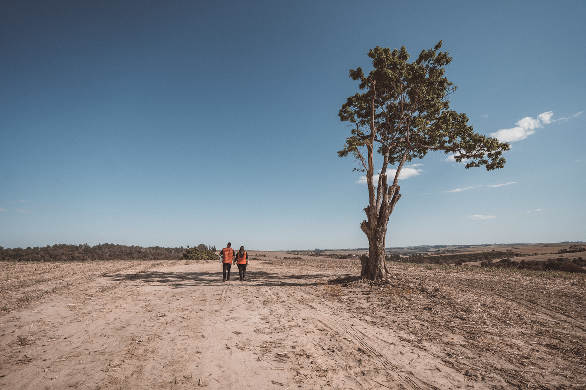 Aline Paulo ensaio casamento Holambra