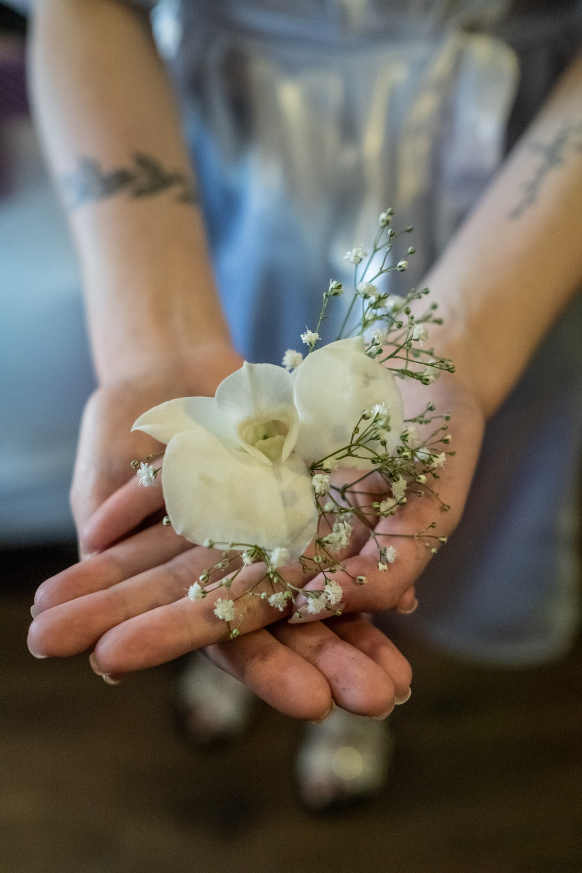 Casamento Leticia e Vinicius Igreja Presbiteriana Jardim das Oliveiras - São Paulo - SP davimartins davi martins