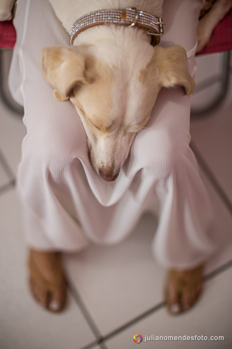 Juliano Mendes/ Casamento Roque Gonzales