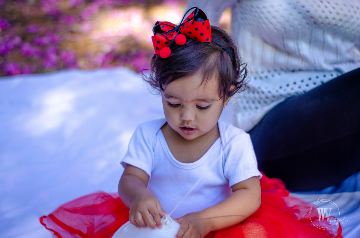 Smash The Cake - Maria Fernanda