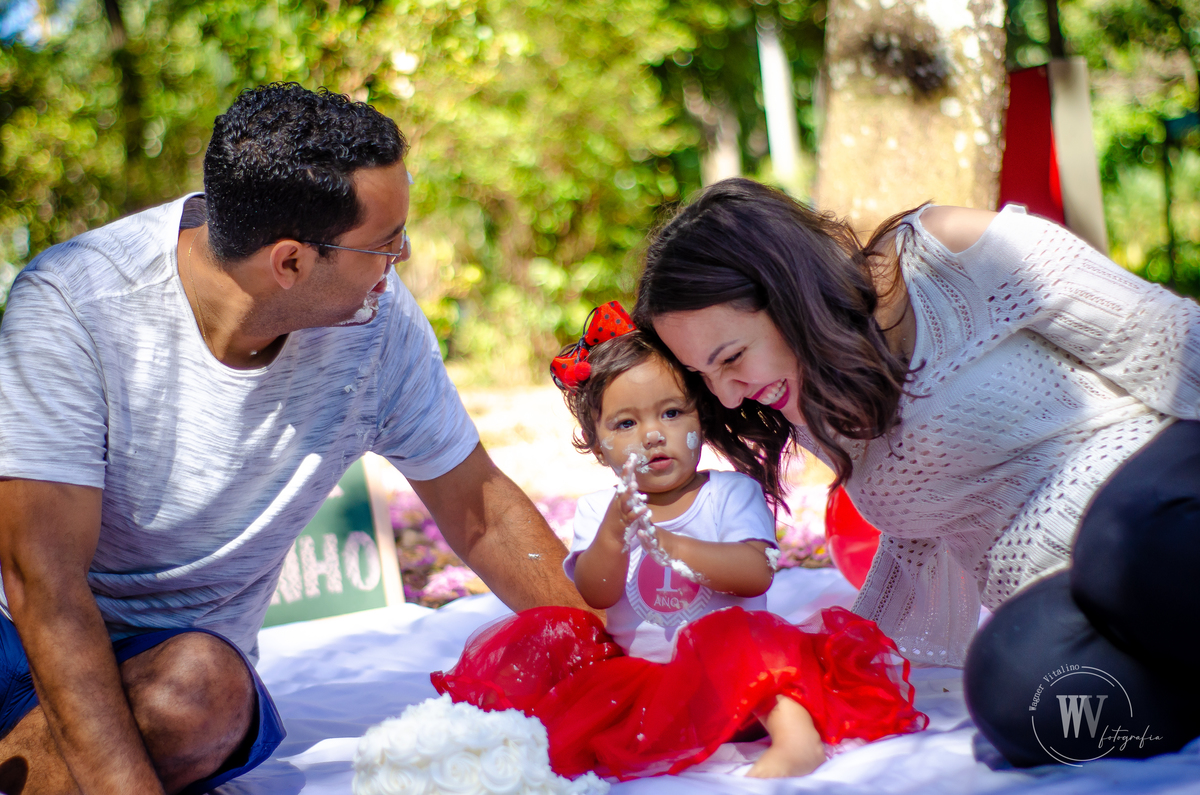 Smash The Cake - Maria Fernanda