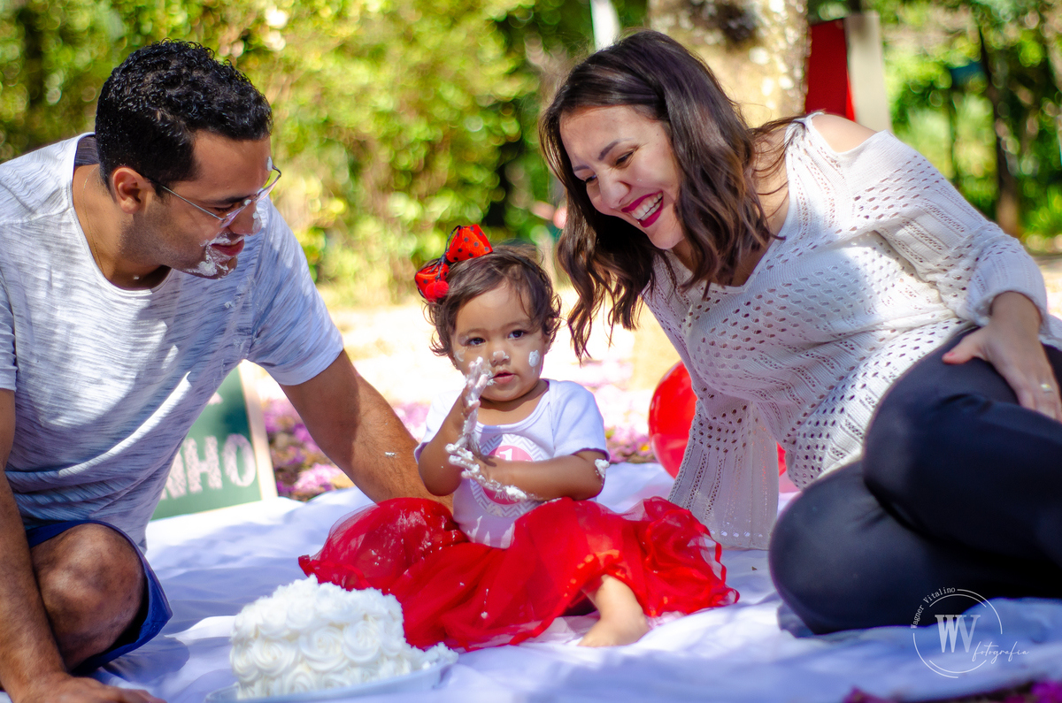 Smash The Cake - Maria Fernanda