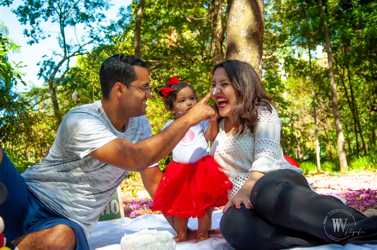 Smash The Cake - Maria Fernanda