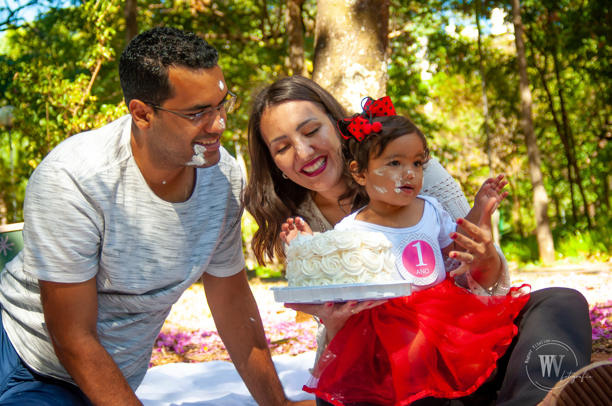 Smash The Cake - Maria Fernanda