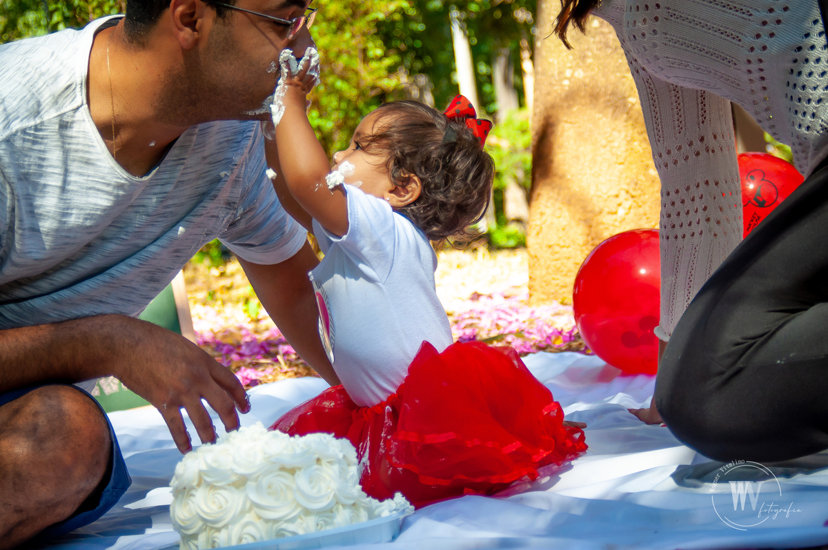 Smash The Cake - Maria Fernanda