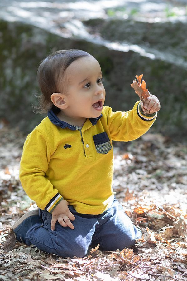 O Miguel à descoberta da natureza