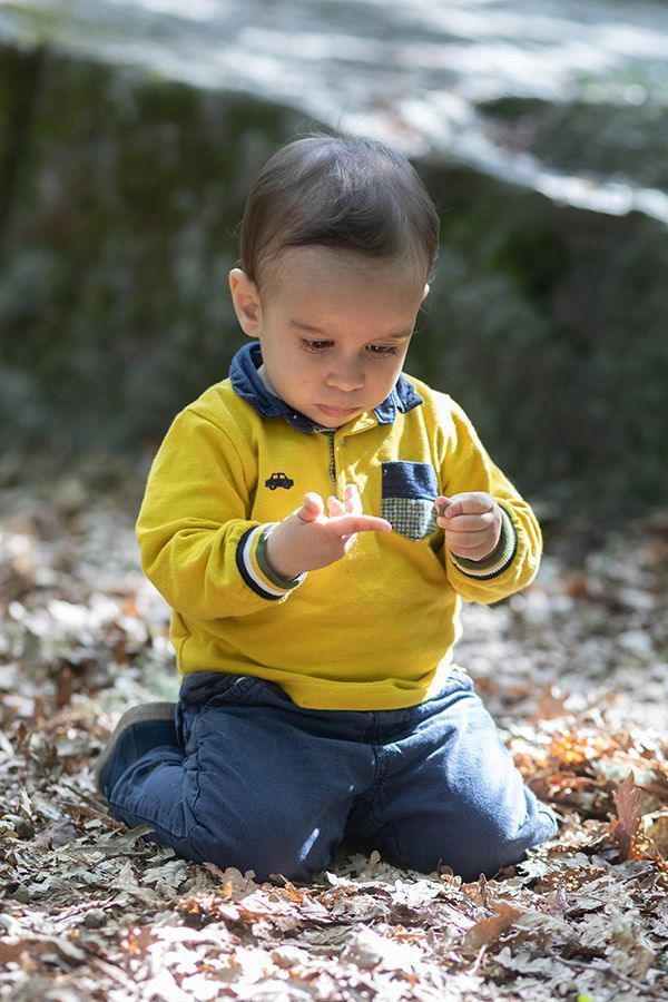Como é curioso o Miguel