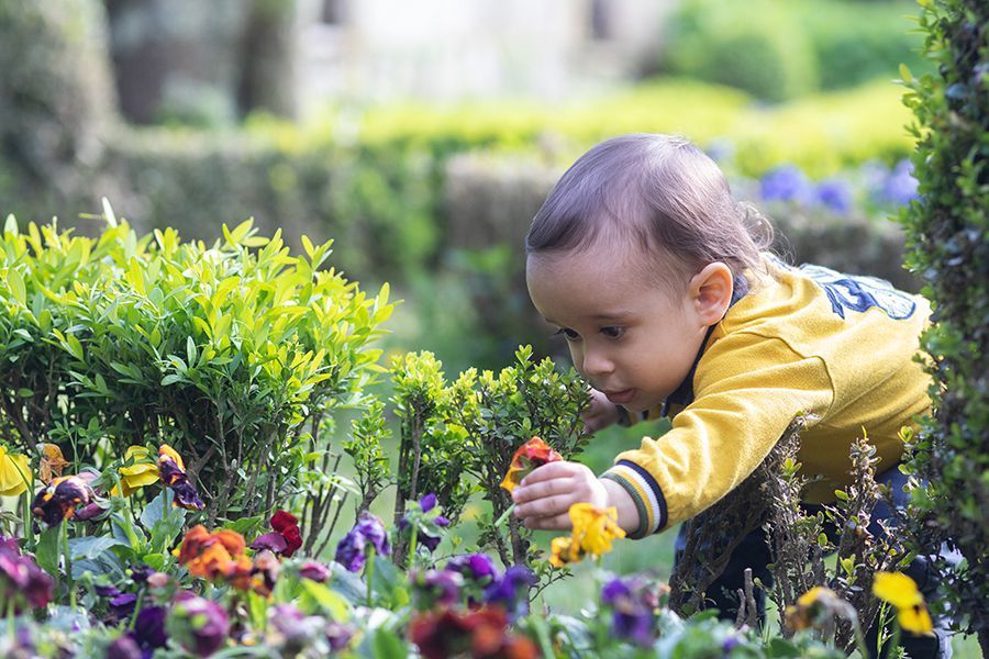 Esta flor é mesmo linda