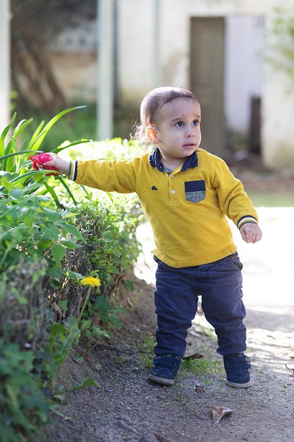 Esta flor é do Benfica