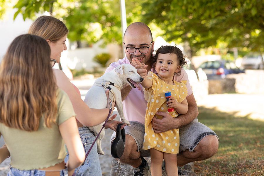Que cão tão fofinho