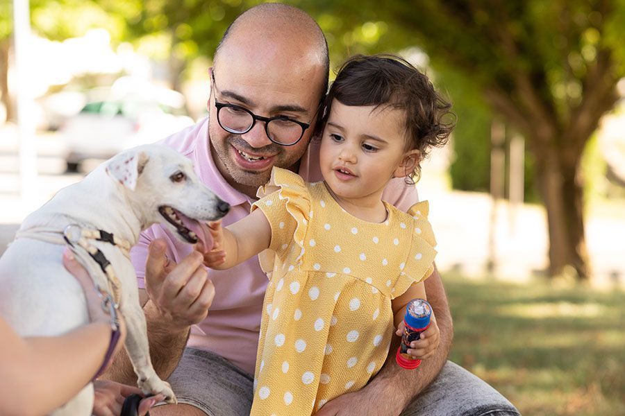 A Maria Miguel adora o cão