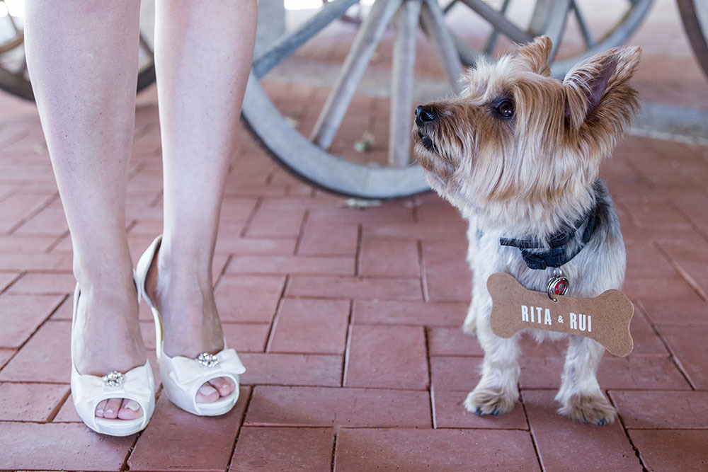A noiva e o seu cão  na Casa da Ínsua - Penalva do Castelo