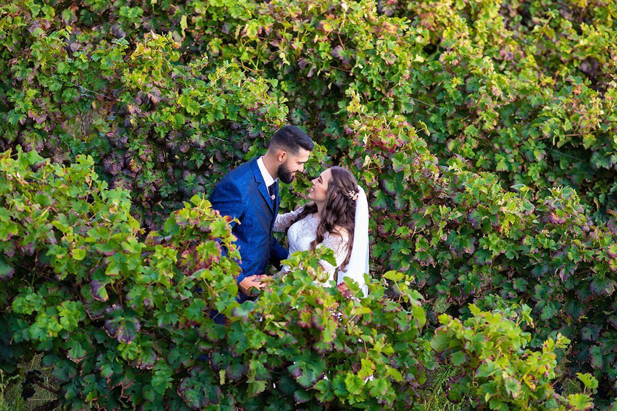 Vinha da Quinta da Cerca 