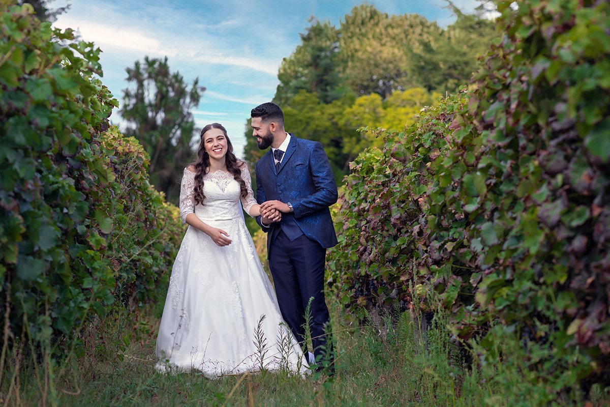 Vinha da Quinta da Cerca  - Mangualde