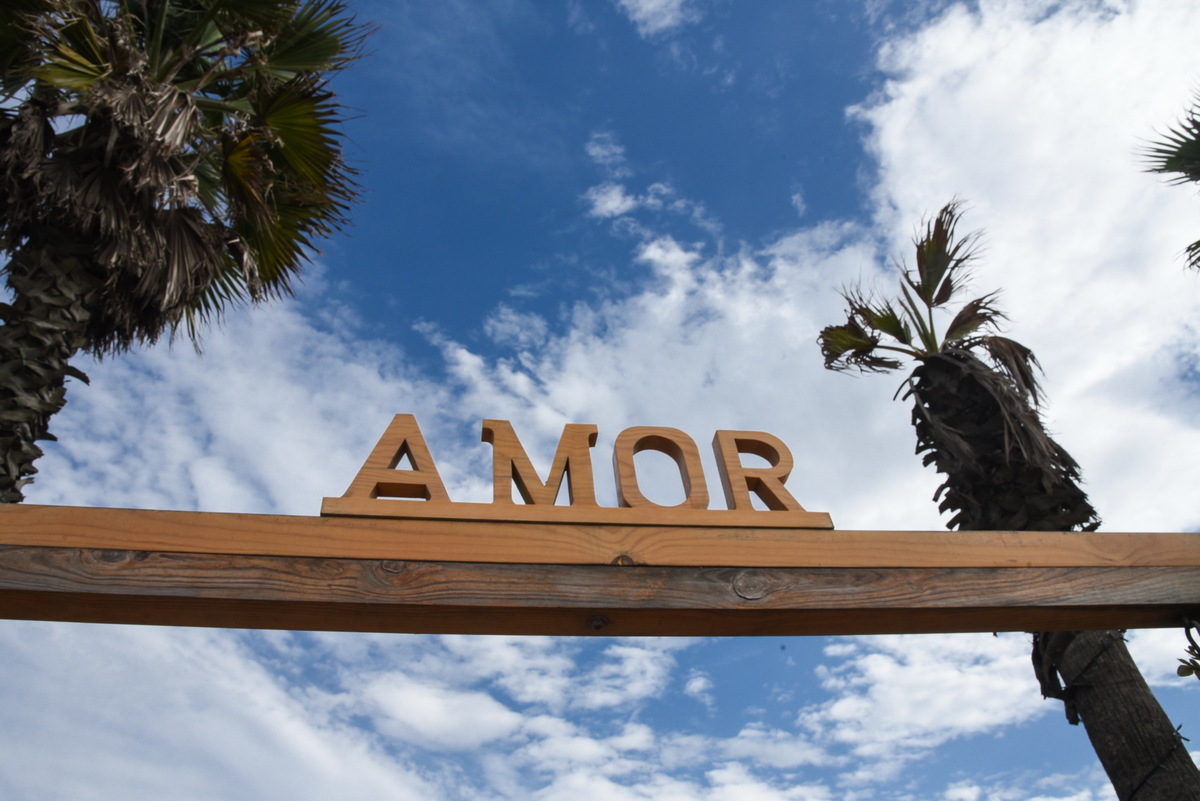 Imagem capa - Casamentos / Weddings por domingos