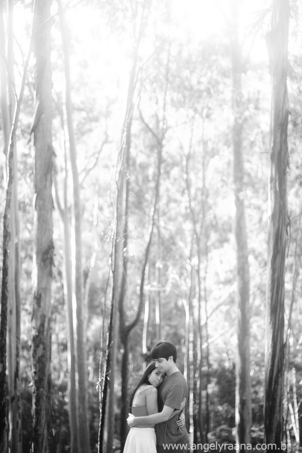 ensaio de noivos pre wedding estilo natural floresta realizado na cidade de Niterói Rio de Janeiro